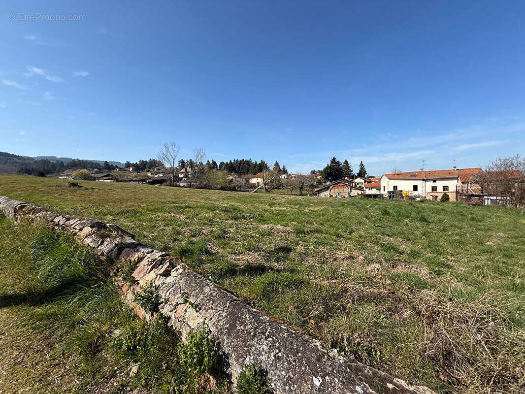 Terrain à SAINT-ANDRE-D'APCHON