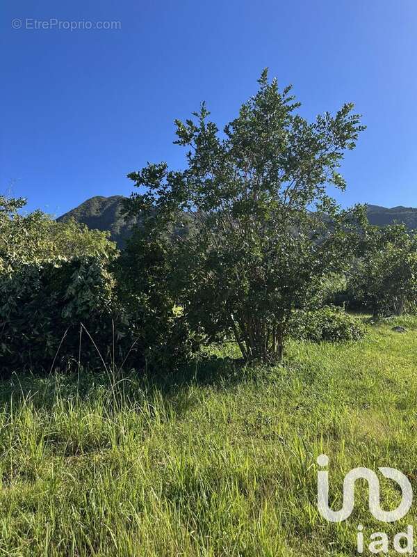 Photo 2 - Terrain à SAINT-LOUIS