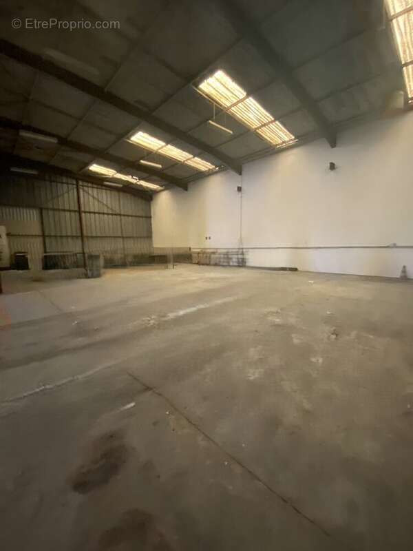 Commerce à SAINT-ALBAN