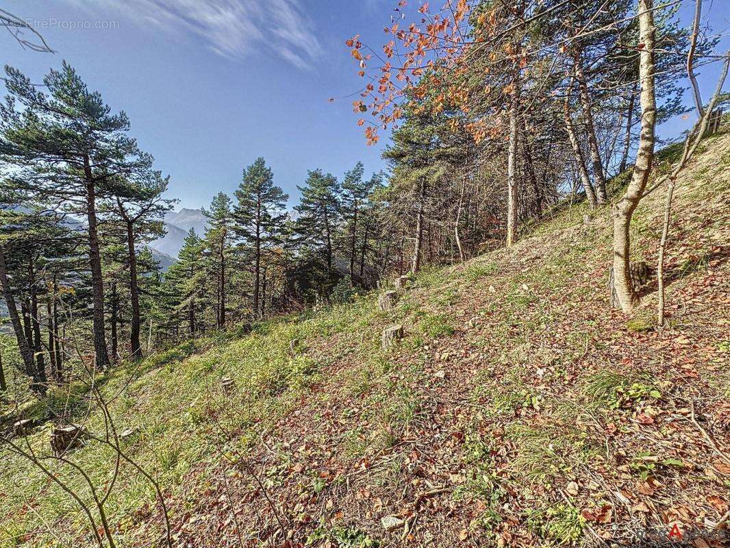 Terrain à CHATEAU-BERNARD