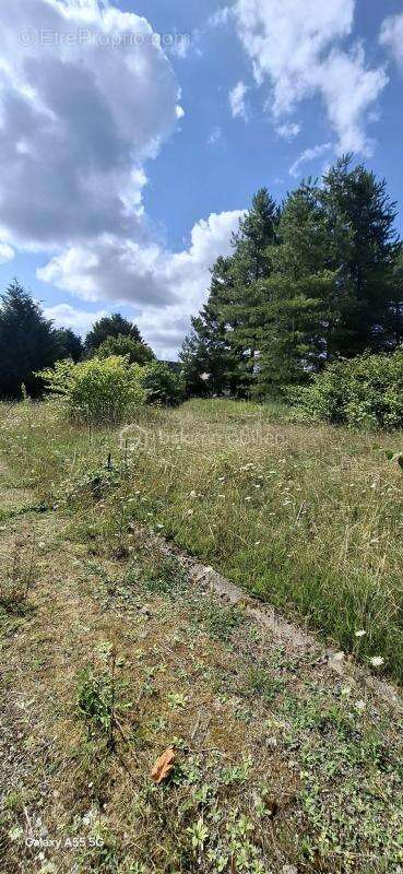 Terrain à Vendre à Lorris - photo 8