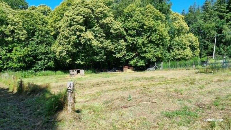 Propriete rurale avec dependances et serres - photo 29