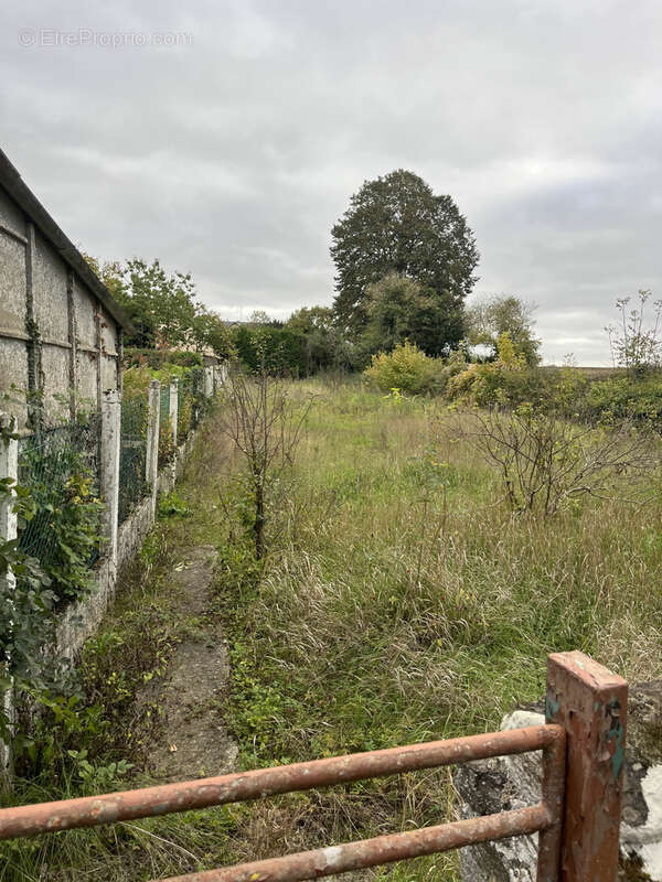 Terrain à GESNES-LE-GANDELIN