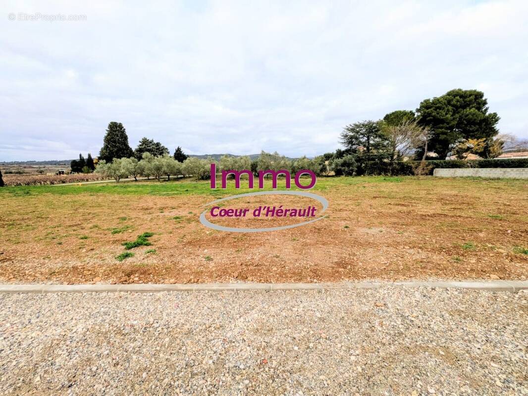 Terrain à SAINT-FELIX-DE-LODEZ