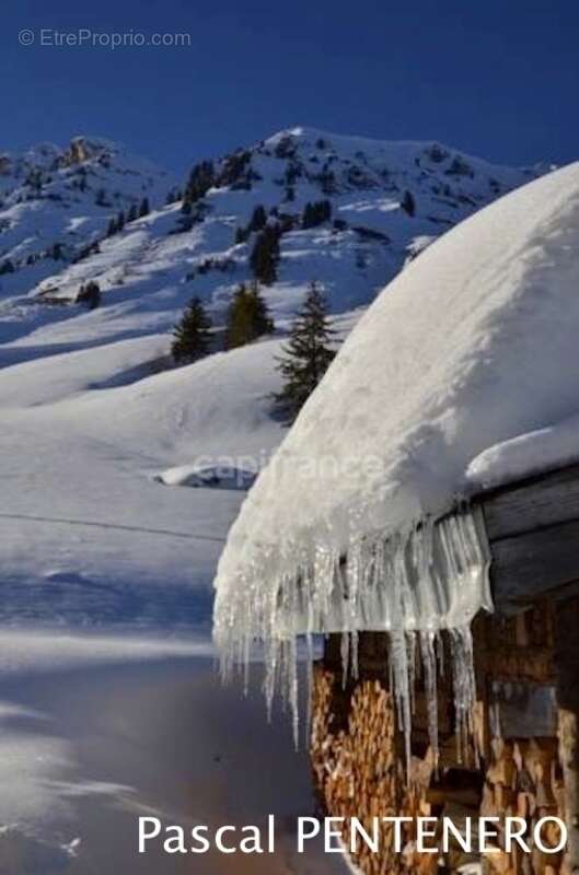 Terrain à LA CHAPELLE-D'ABONDANCE