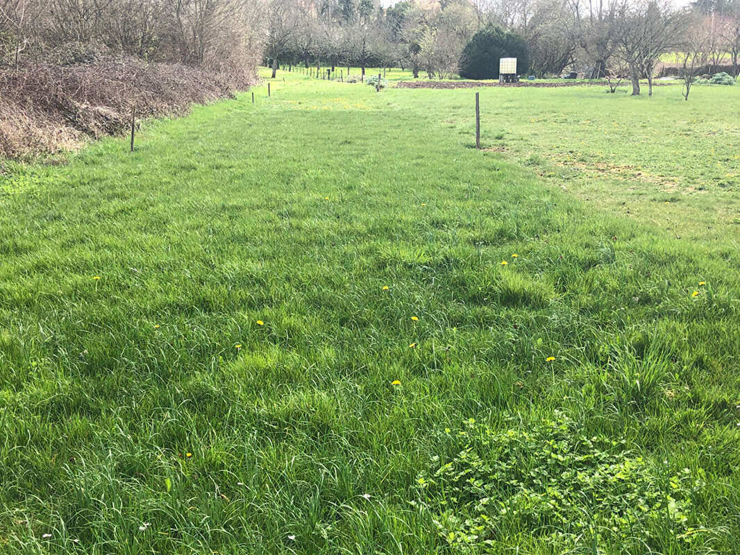 Terrain à LHOMMAIZE