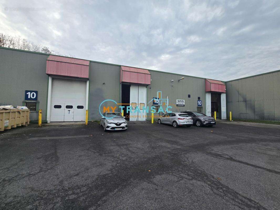 Commerce à SAINT-THIBAULT-DES-VIGNES