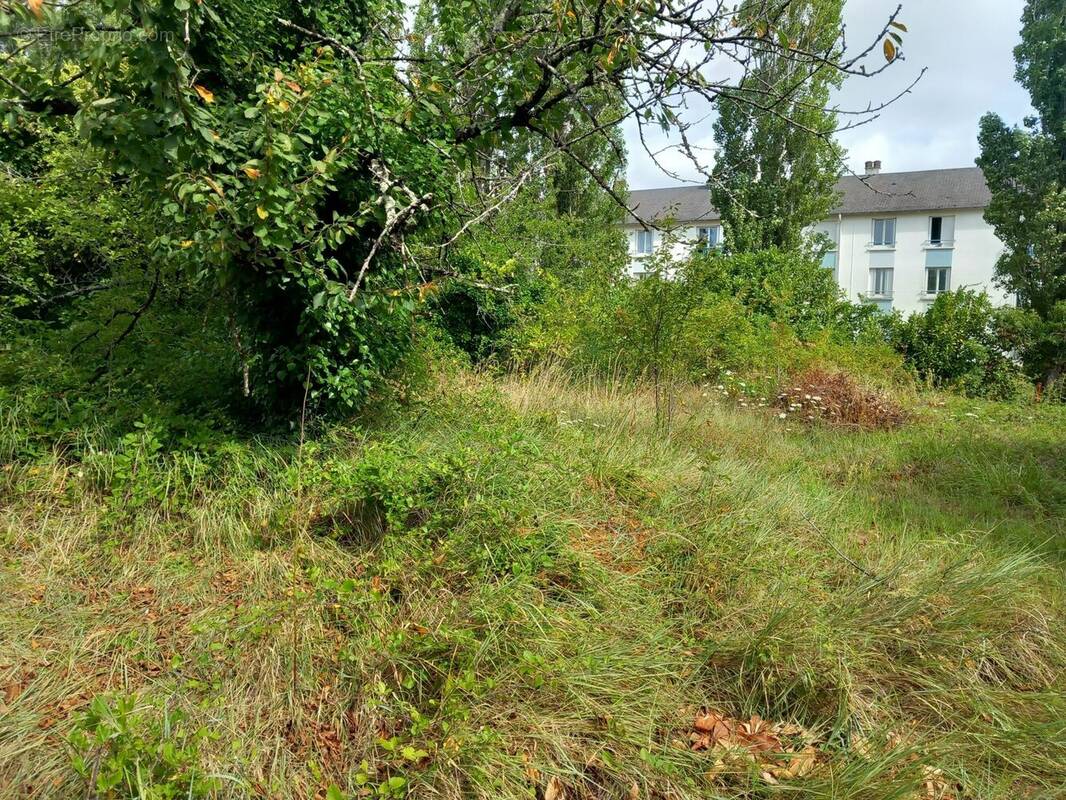 Terrain à BOURGUEIL