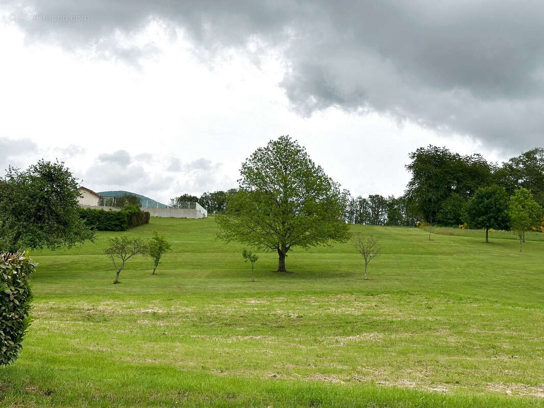 Appartement à BELFORT