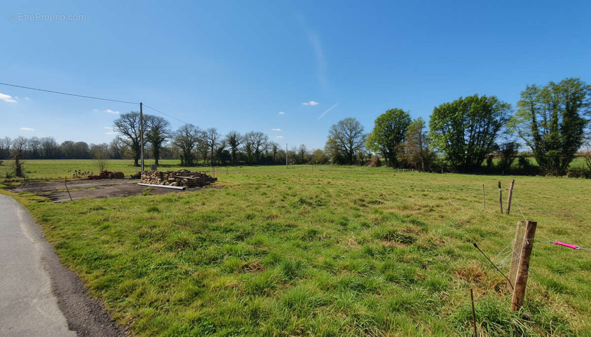 Maison à SAINT-HILAIRE-DE-CHALEONS