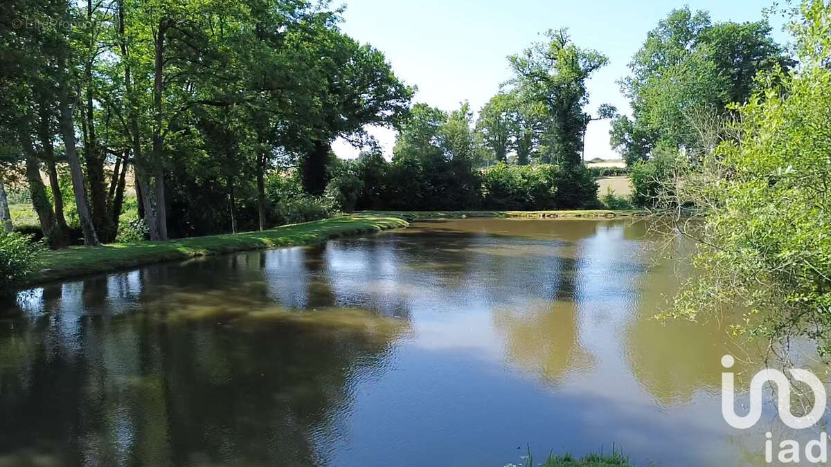 Photo 7 - Terrain à SAINT-DENIS-DE-JOUHET