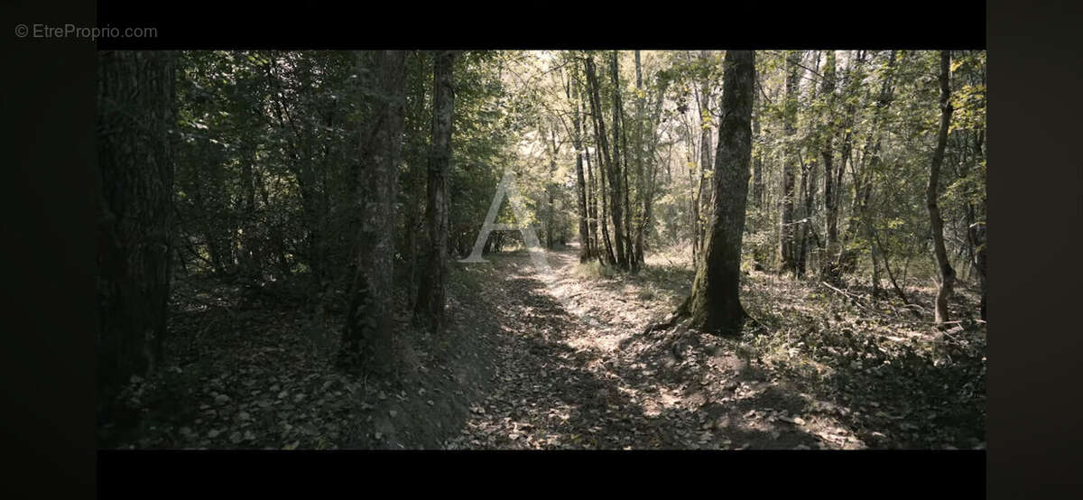 Territoire de chasse avec étang en Sologne - photo 7