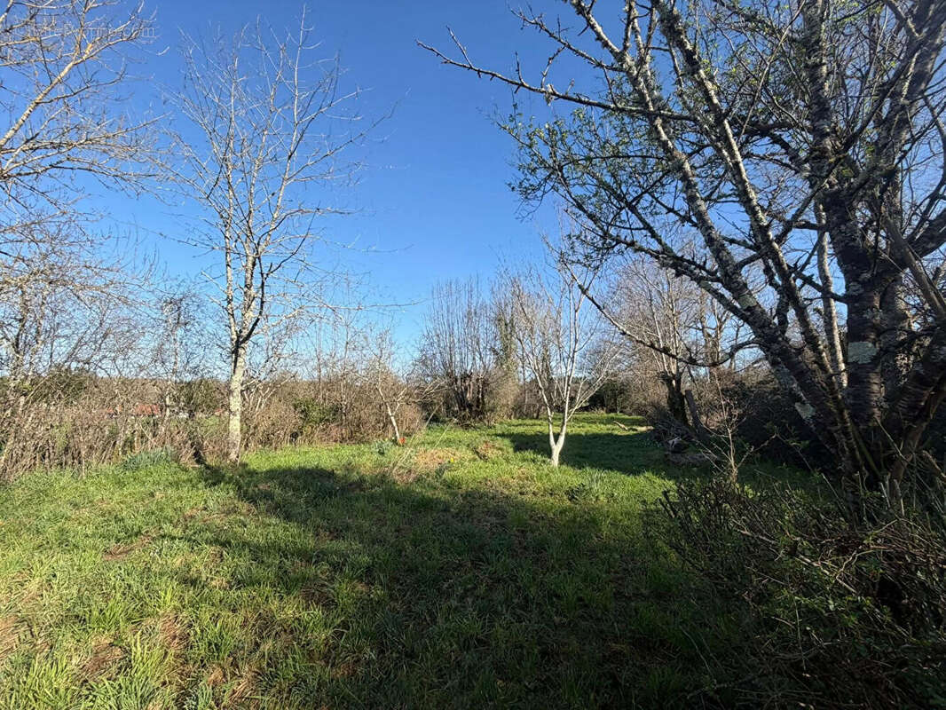 Maison à VILLEFAVARD