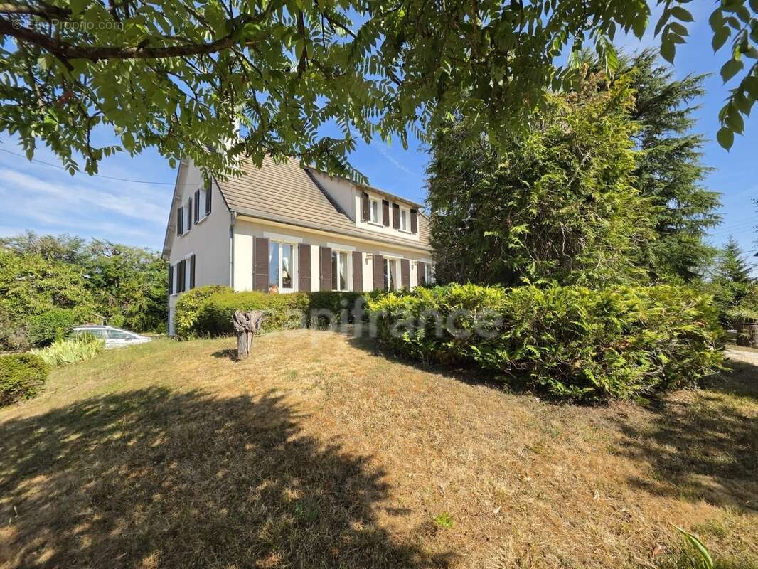 Maison à vendre 11 pièces VILLENEUVE SUR YONNE (89), 6 chambres, jardin 1976 M2 - photo 7