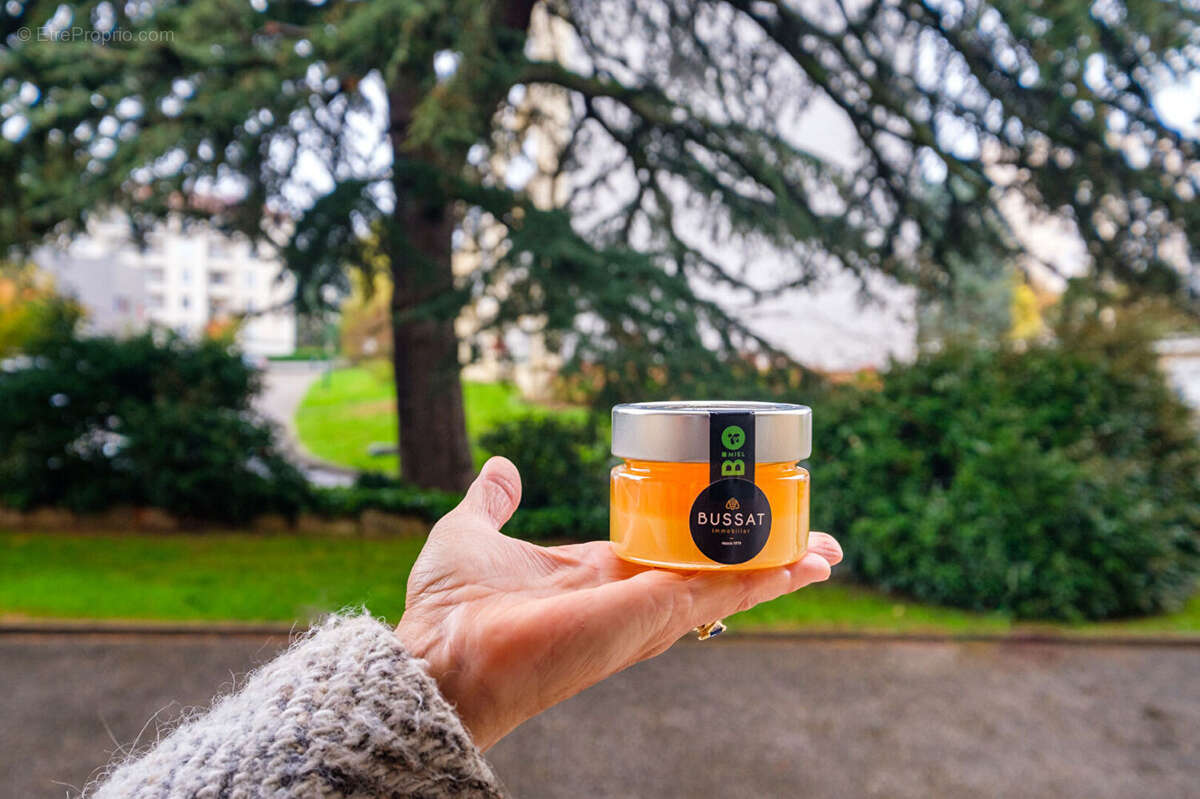 Appartement à CALUIRE-ET-CUIRE