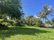 Photo 1 - Terrain à LE TAMPON