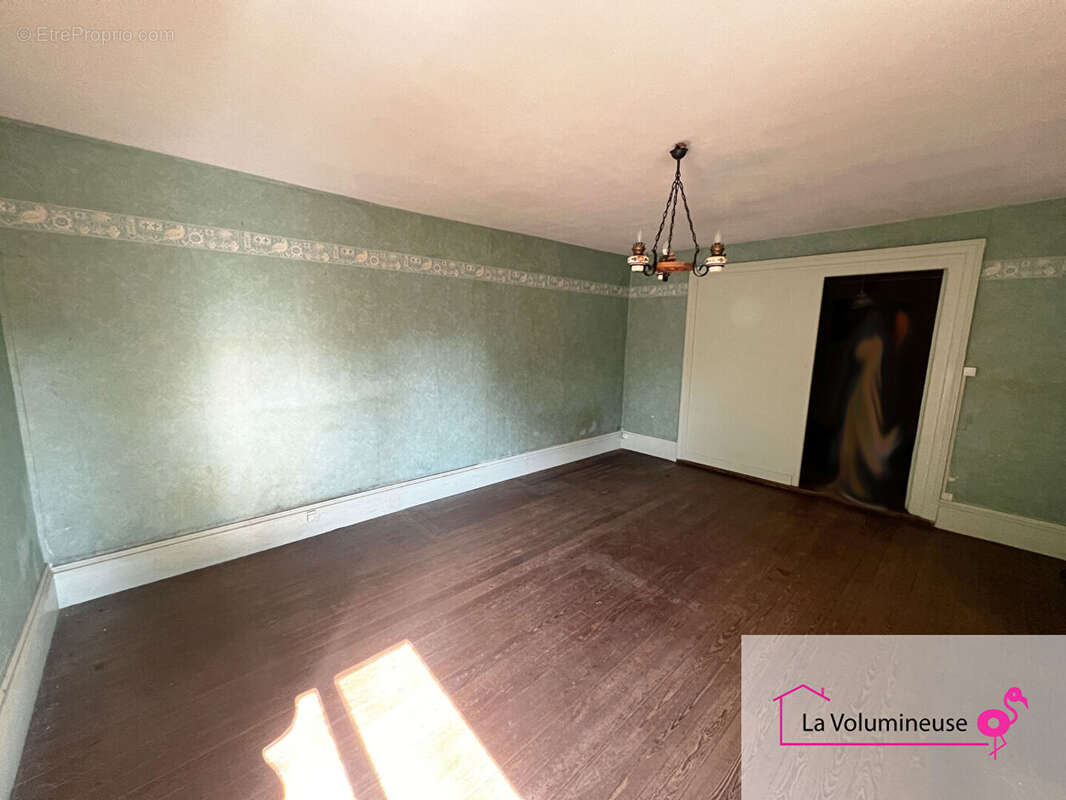 La Volumineuse - photo 5