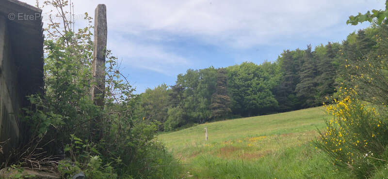 Bâtiment agricole vendre 3 pièces LE MALZIEU FORAIN (48) - photo 3