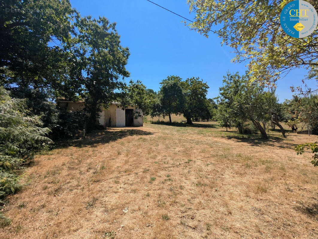 Charme et Authenticité : Longère en pierres sur vaste terrain à Monteneuf (56380) - photo 29