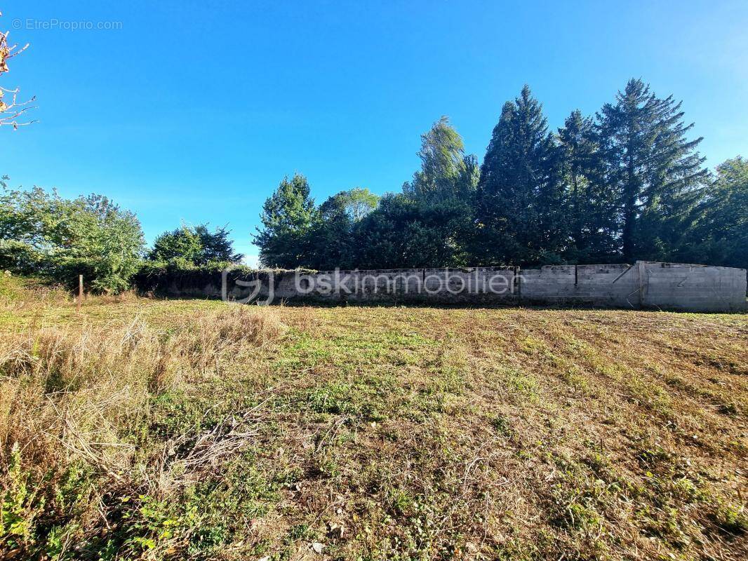 Terrain à CHOISY-EN-BRIE