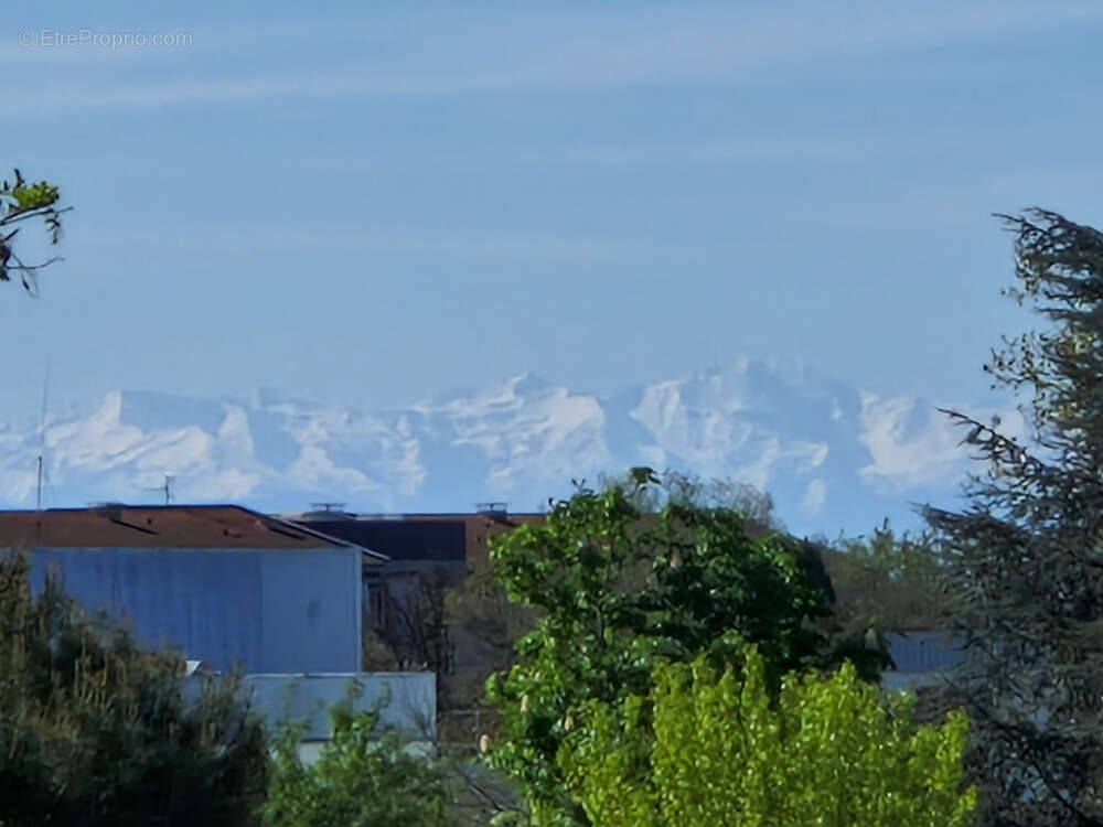 Appartement à COLOMIERS