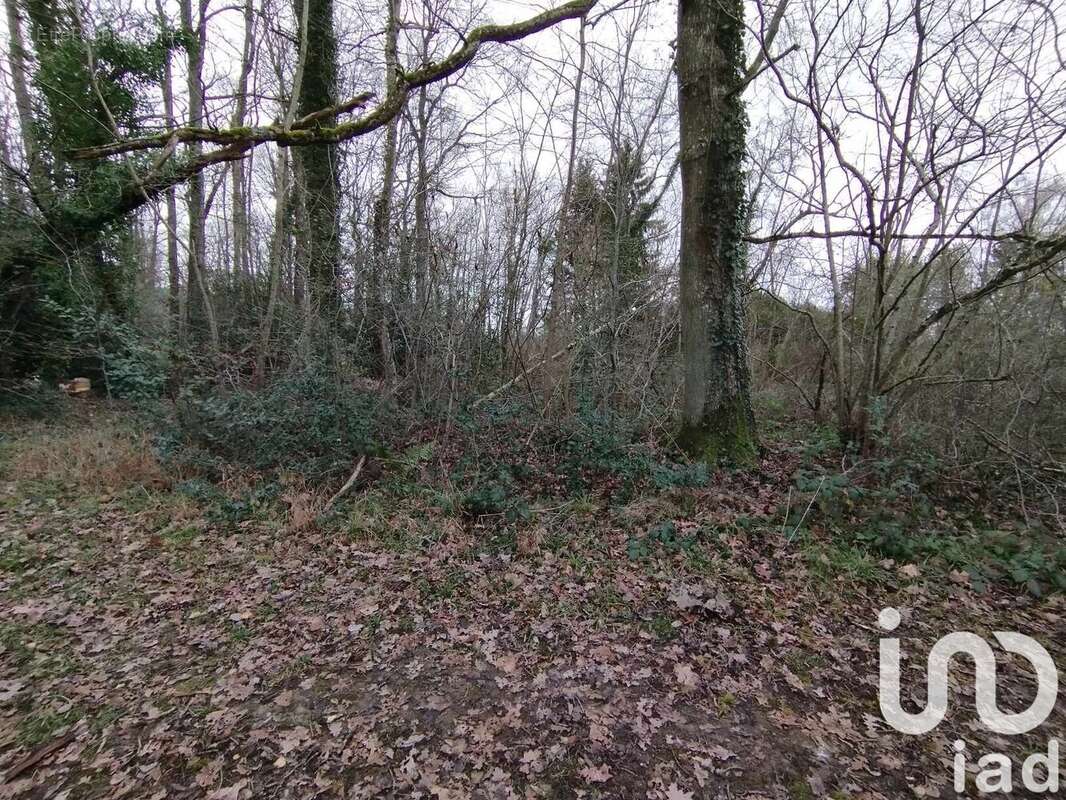 Photo 6 - Terrain à VEZILLY