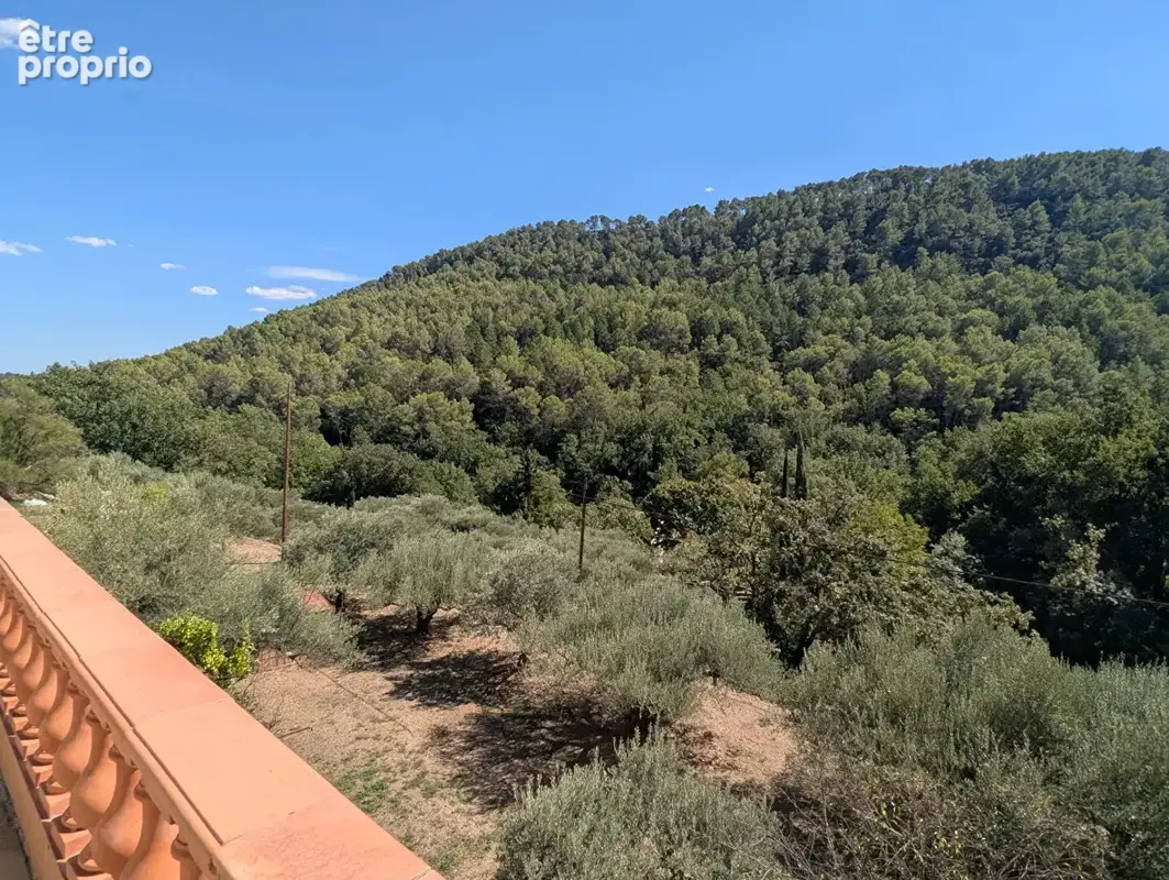 SALERNES, bastide 250 m², 8 pièces, cabanon en pierre, cave, terrain 6.780 m² au calme - photo 4