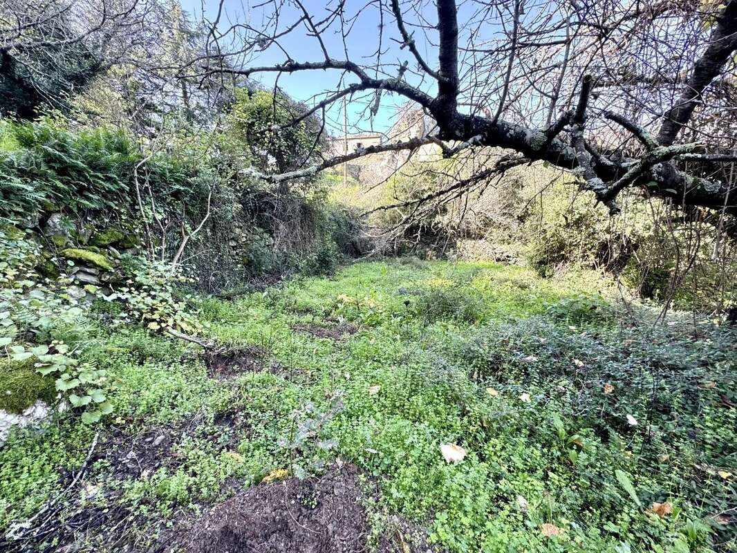 Terrain à CASTELLO-DI-ROSTINO