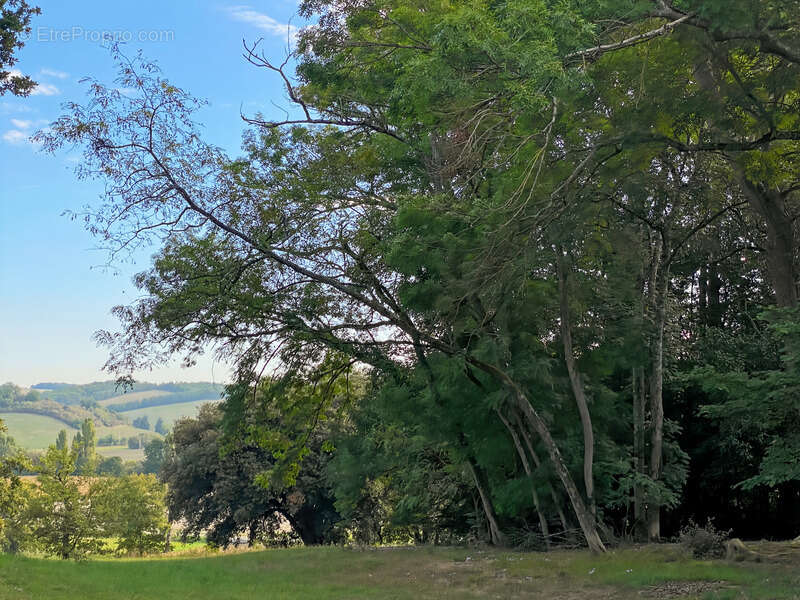 Propriété à vendre 9 pièces RIGUEPEU (32) - 315 m2 - 1,9 hectares - photo 38
