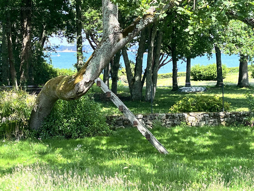 Maison à ILE-AUX-MOINES