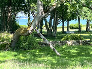 Maison à ILE-AUX-MOINES