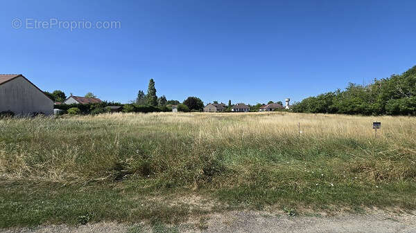 10 mn de beaugency - photo 2