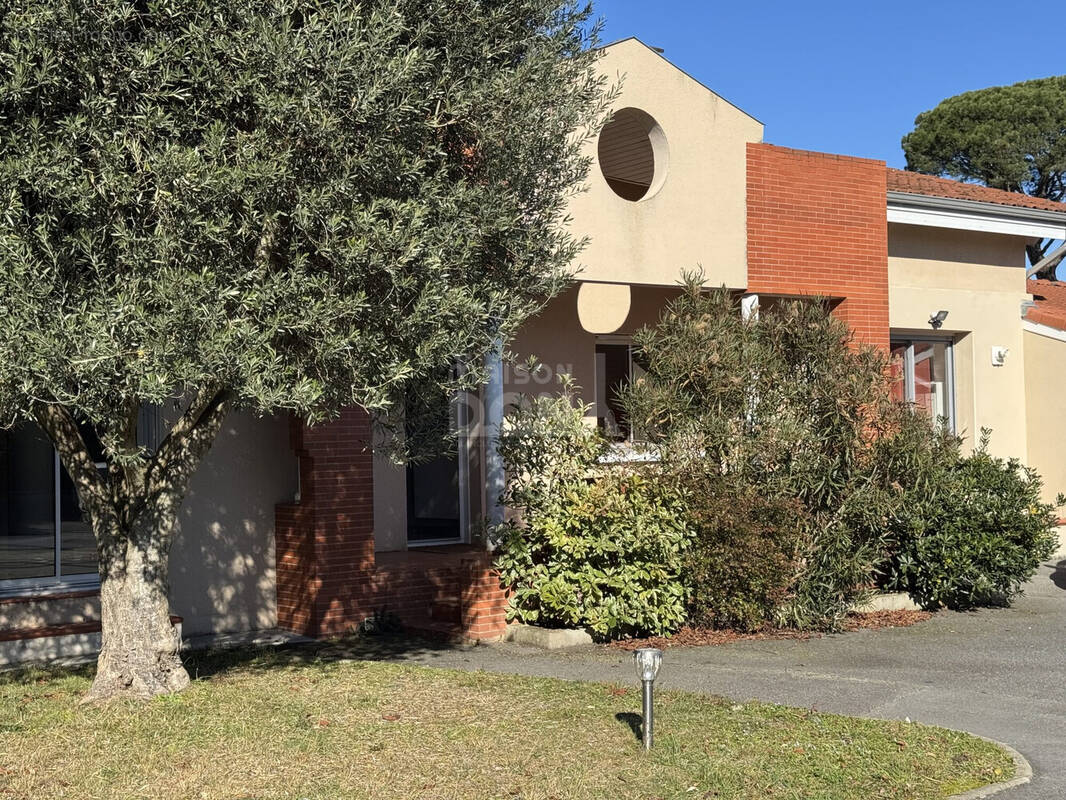 Maison à TOURNEFEUILLE