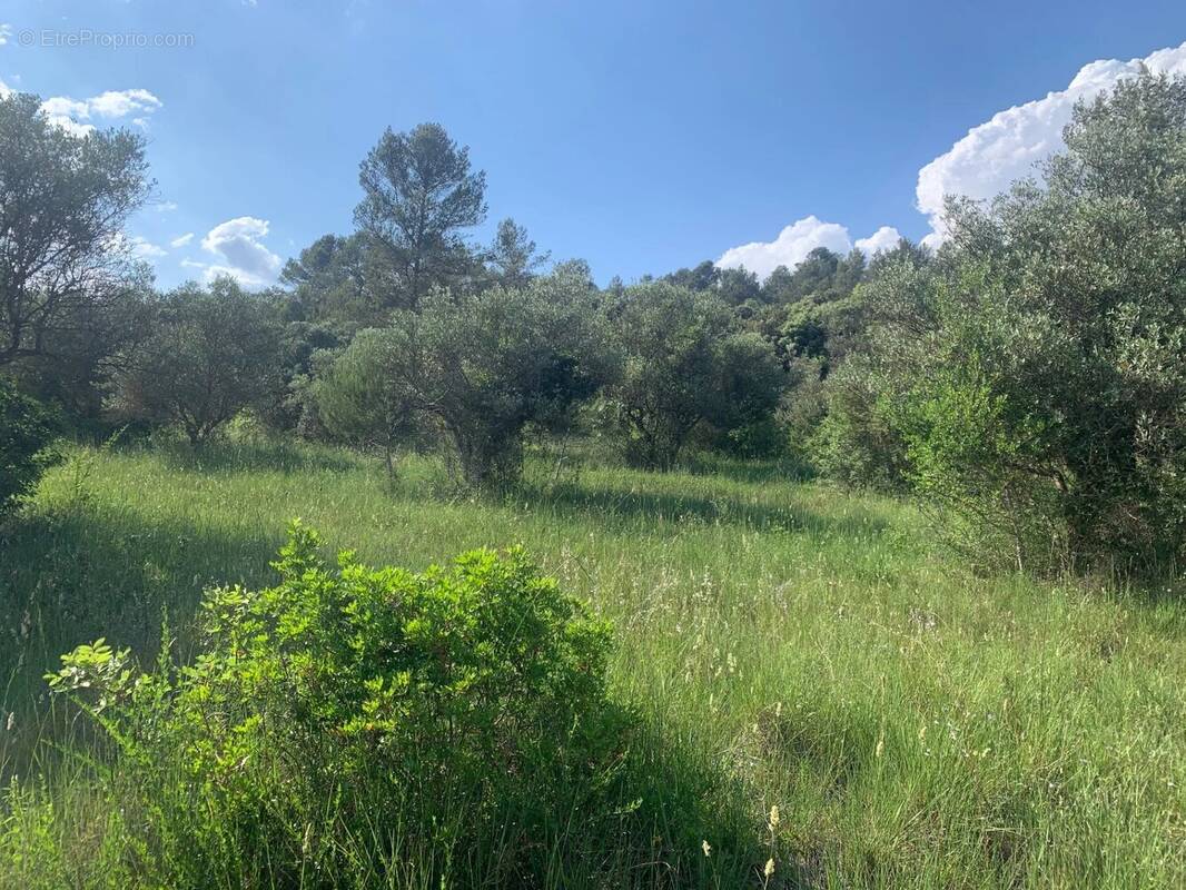 Terrain à CAMPS-LA-SOURCE