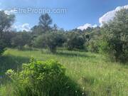 Terrain à CAMPS-LA-SOURCE