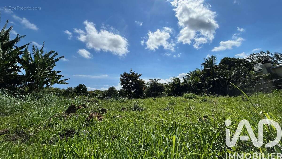Photo 2 - Terrain à PETITE-ILE