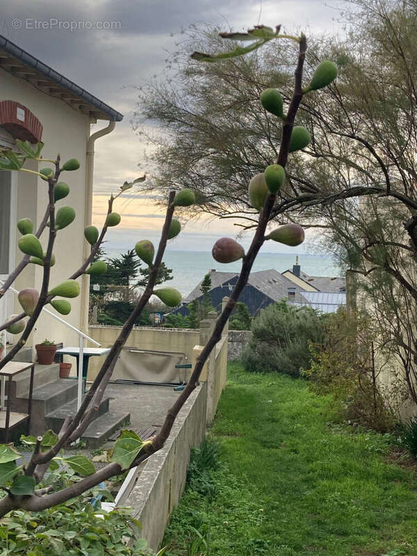 Maison à SAINT-PAIR-SUR-MER