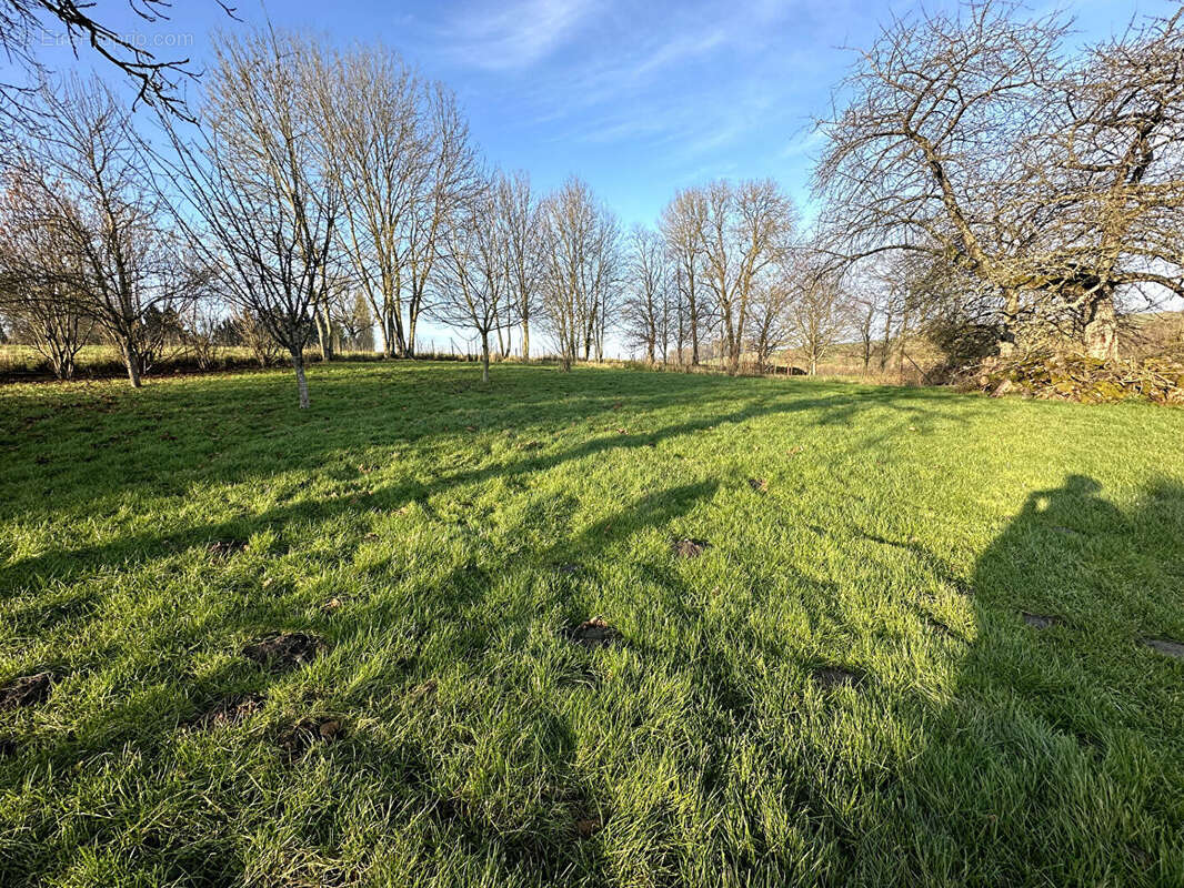 Maison à MARFONTAINE