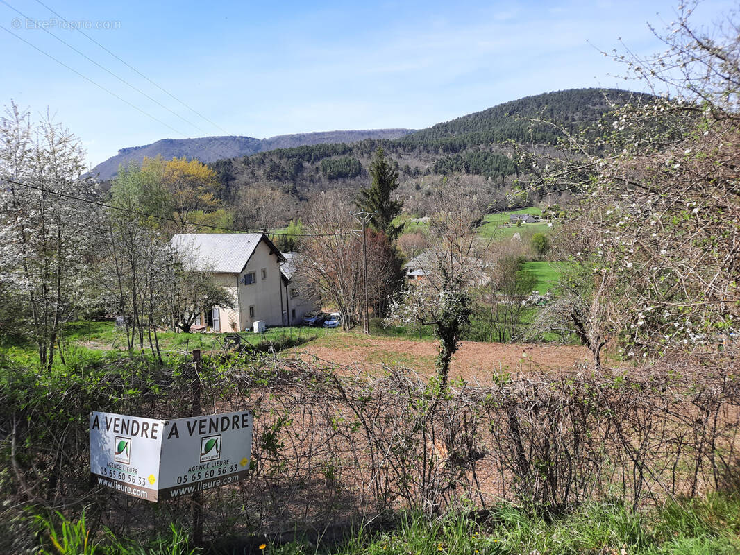 Terrain à SAINT-JEAN-DU-BRUEL