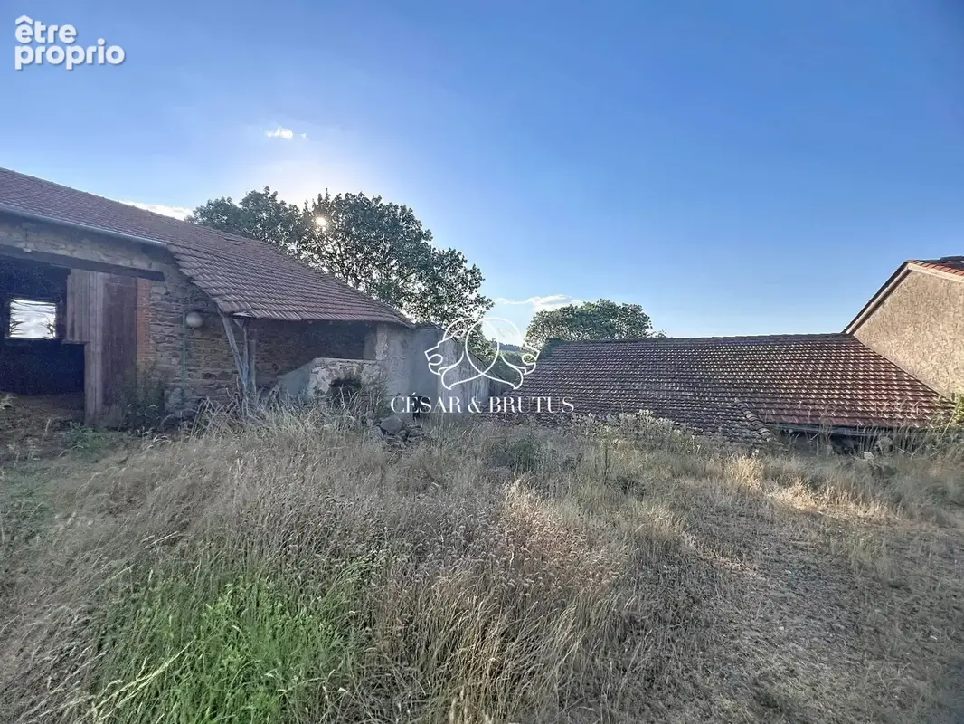 Maison 750 m² à Saint-Jean-Saint-Maurice-Sur-Loire  - photo 9