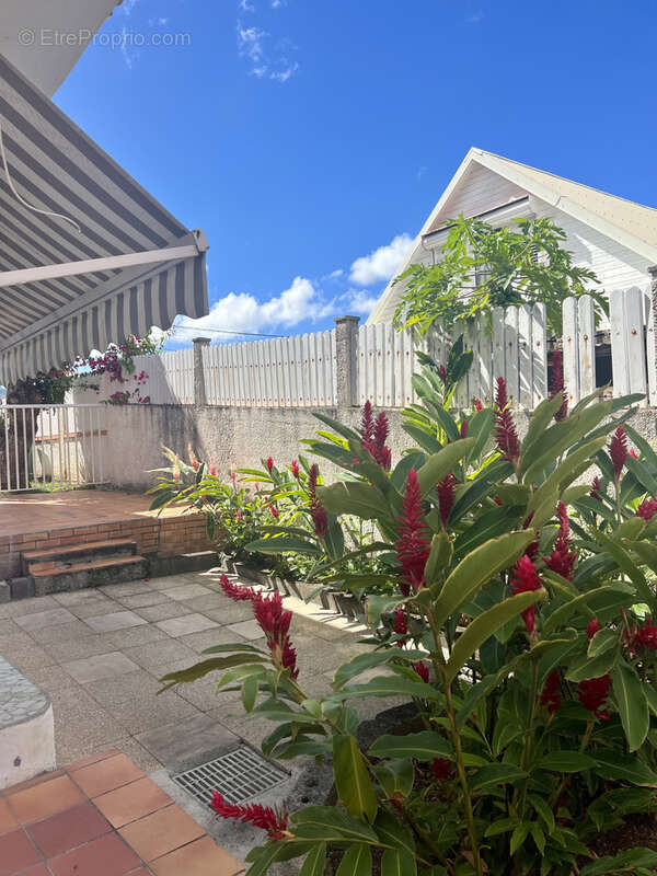 Appartement à BASSE-TERRE