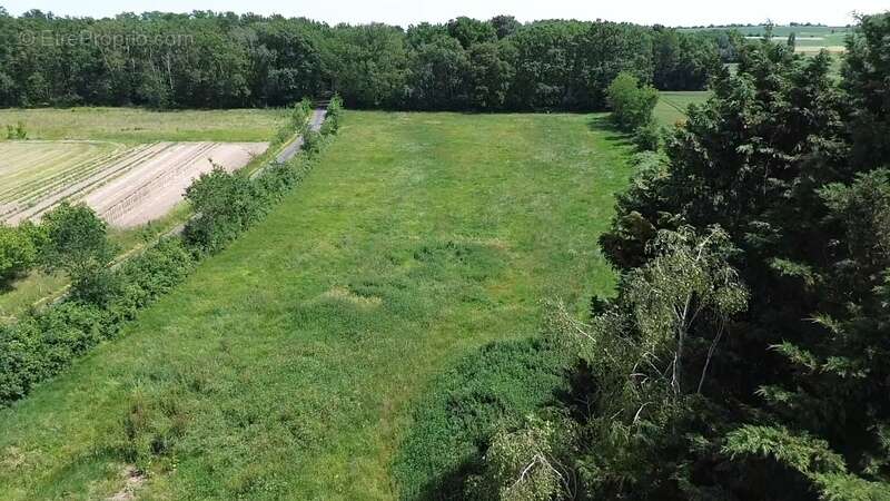 Terrain de loisirs à vendre  CHOUPPES (86) - photo 8