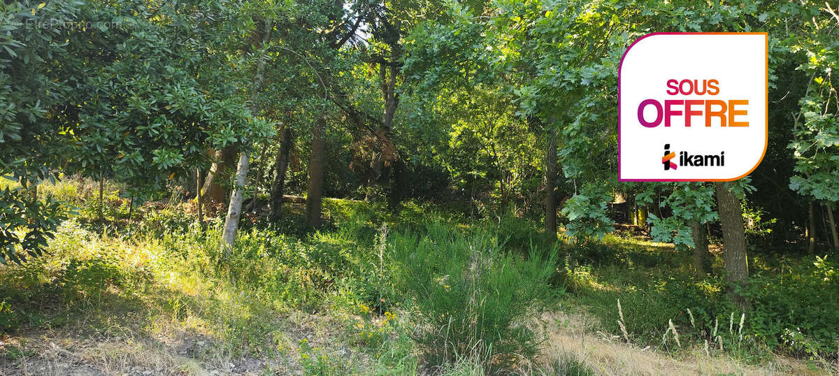 Terrain à bâtir Saulx les Chartreux - photo 2