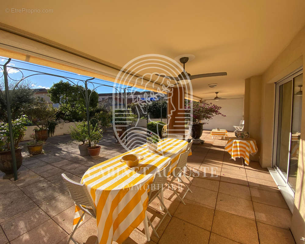 Immense terrasse