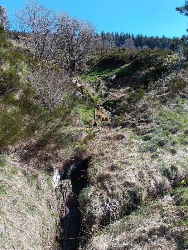 Terrain à SAINT-CIRGUES-EN-MONTAGNE