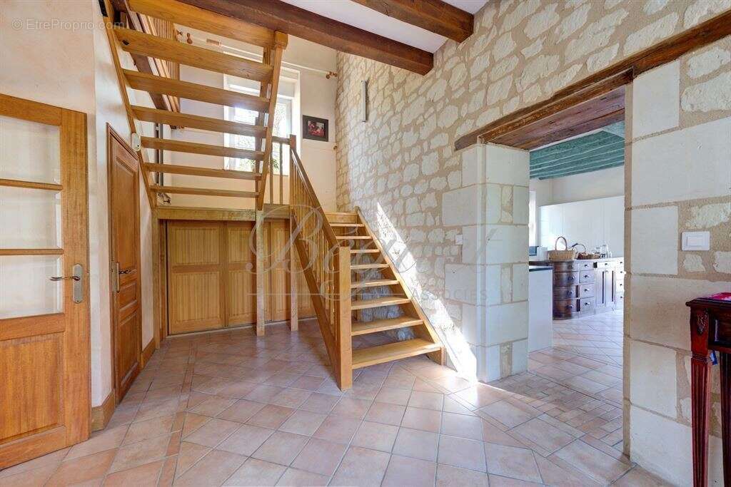 Indre et loire - chinon / thizay 37500 - maison 234 m² - 5 ch - deux gites - piscine - parc 8 000 m² - photo 11