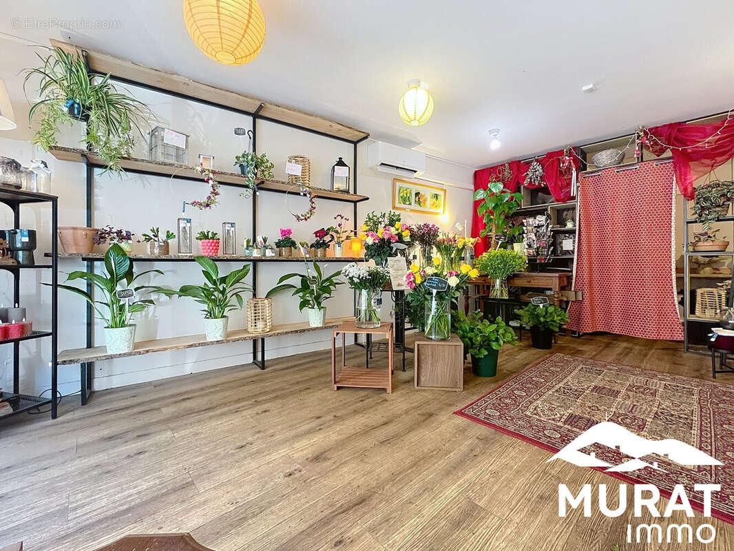 Autre à SAINT-AMANT-TALLENDE