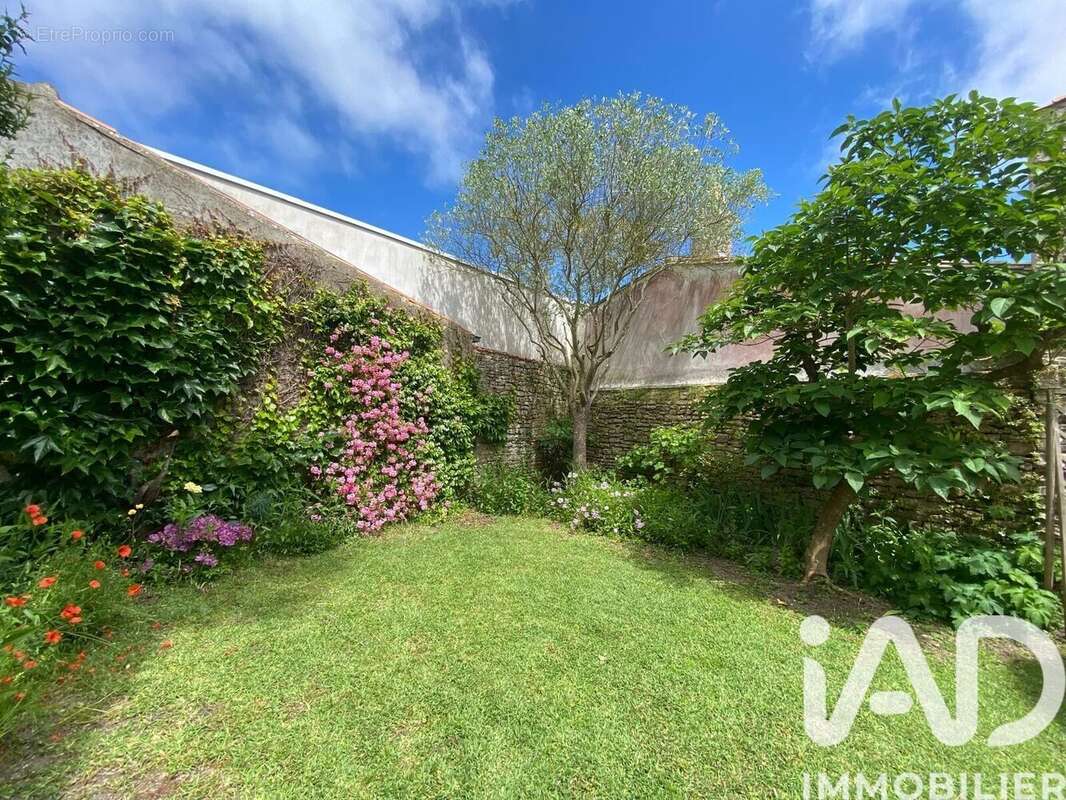 Photo 3 - Maison à LA COUARDE-SUR-MER