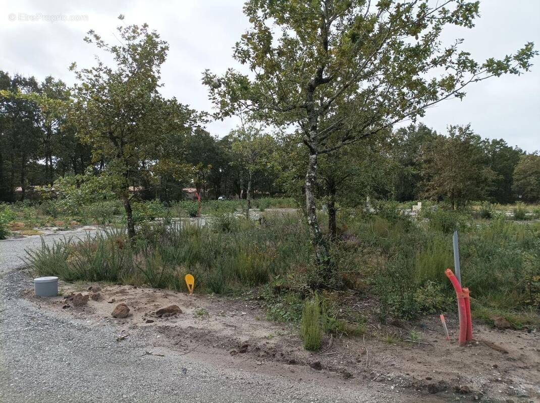 Terrain à LABOUHEYRE