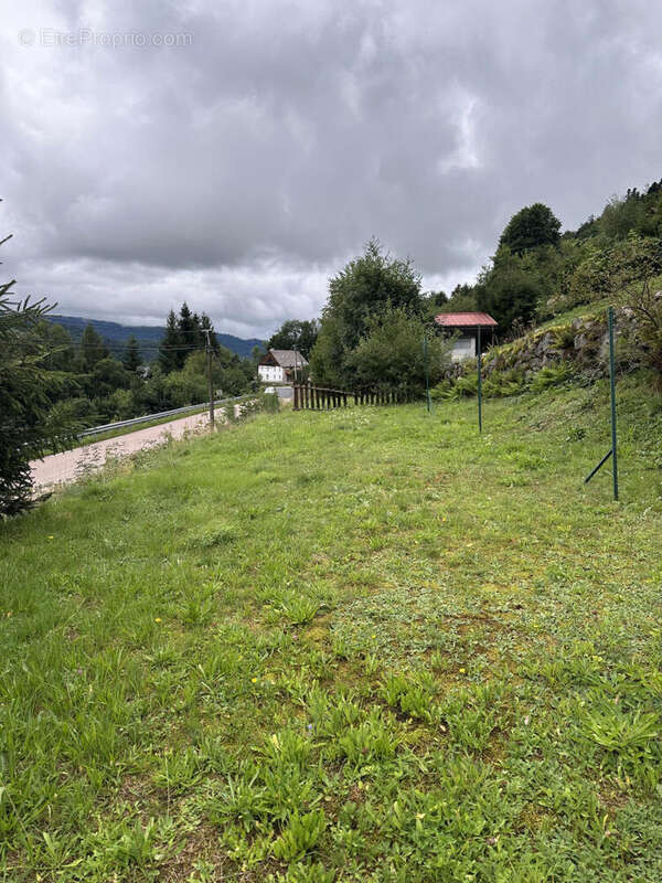 IMG_0831 - Maison à LE MENIL